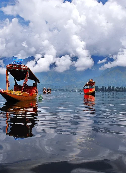 Kashmir Dal Lake View with Shikara